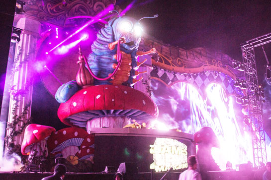 Beyond Wonderland Beyond Wonderland